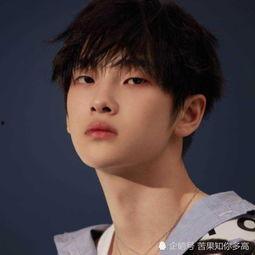 周震南个人资料多高,身高与才华并存的青春偶像