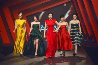 偶像来了的明星,明星们的欢乐集结与情感共鸣之旅