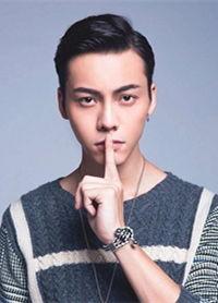 温州的明星有哪些明星,璀璨星河中的温州之光