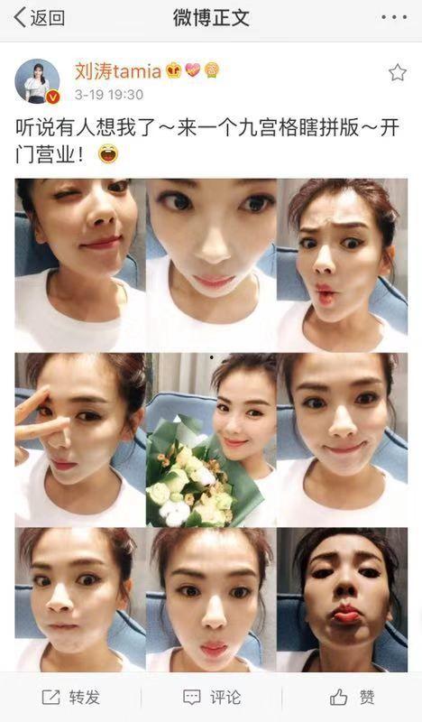 微博搞笑宠物自拍,微博上的搞笑宠物瞬间