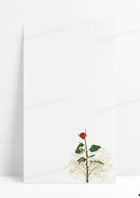 简单资料背景,揭开古代文明的神秘面纱